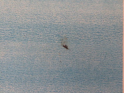 BARRICADE ARGENTINA FOLDED ONE SHEET POSTER DANE CLARK RAYMOND MASSEY 1950 Movie posters