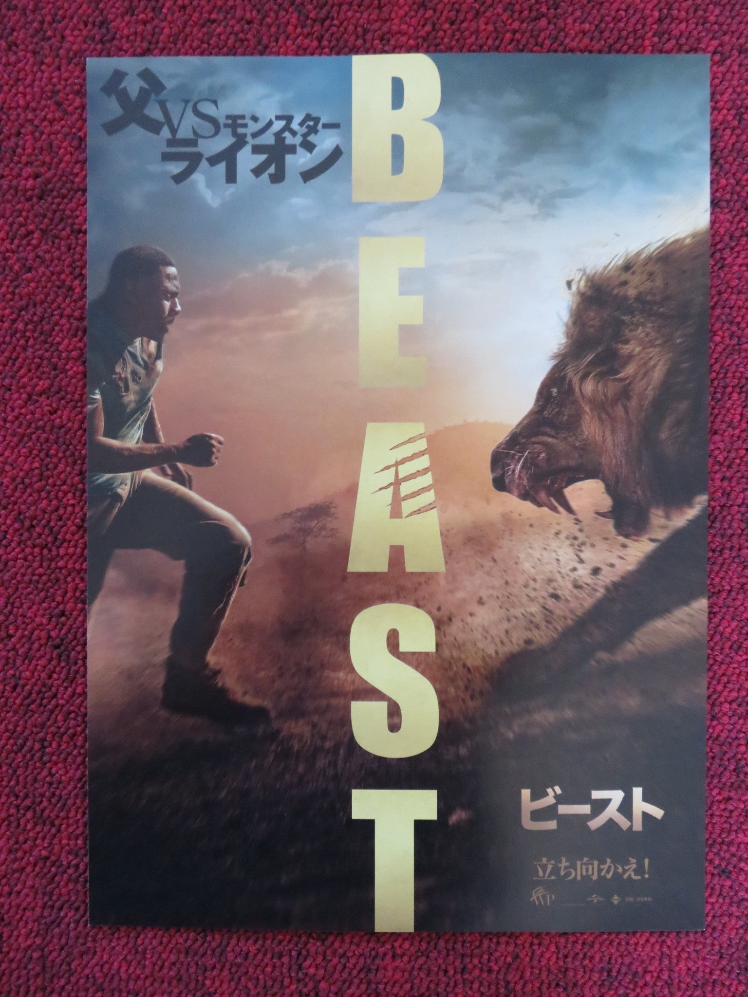 BEAST JAPANESE CHIRASHI (B5) POSTER IDRIS ELBA MARTIN MUNRO 2022 Rendezvous Cinema Movie posters