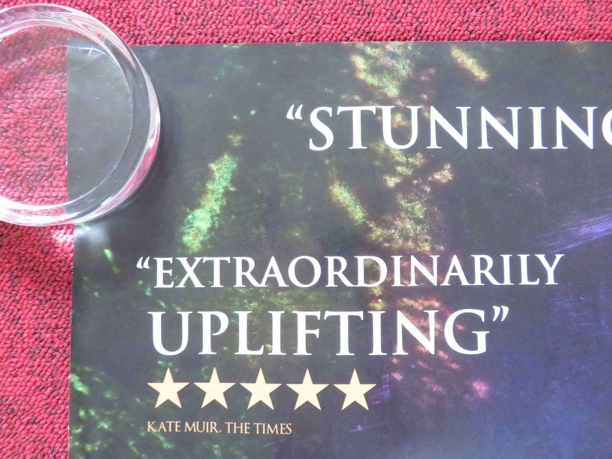 BEASTS OF THE SOUTHERN WILD UK QUAD ROLLED POSTER DWIGHT HENRY 2012 Rendezvous Cinema Movie posters