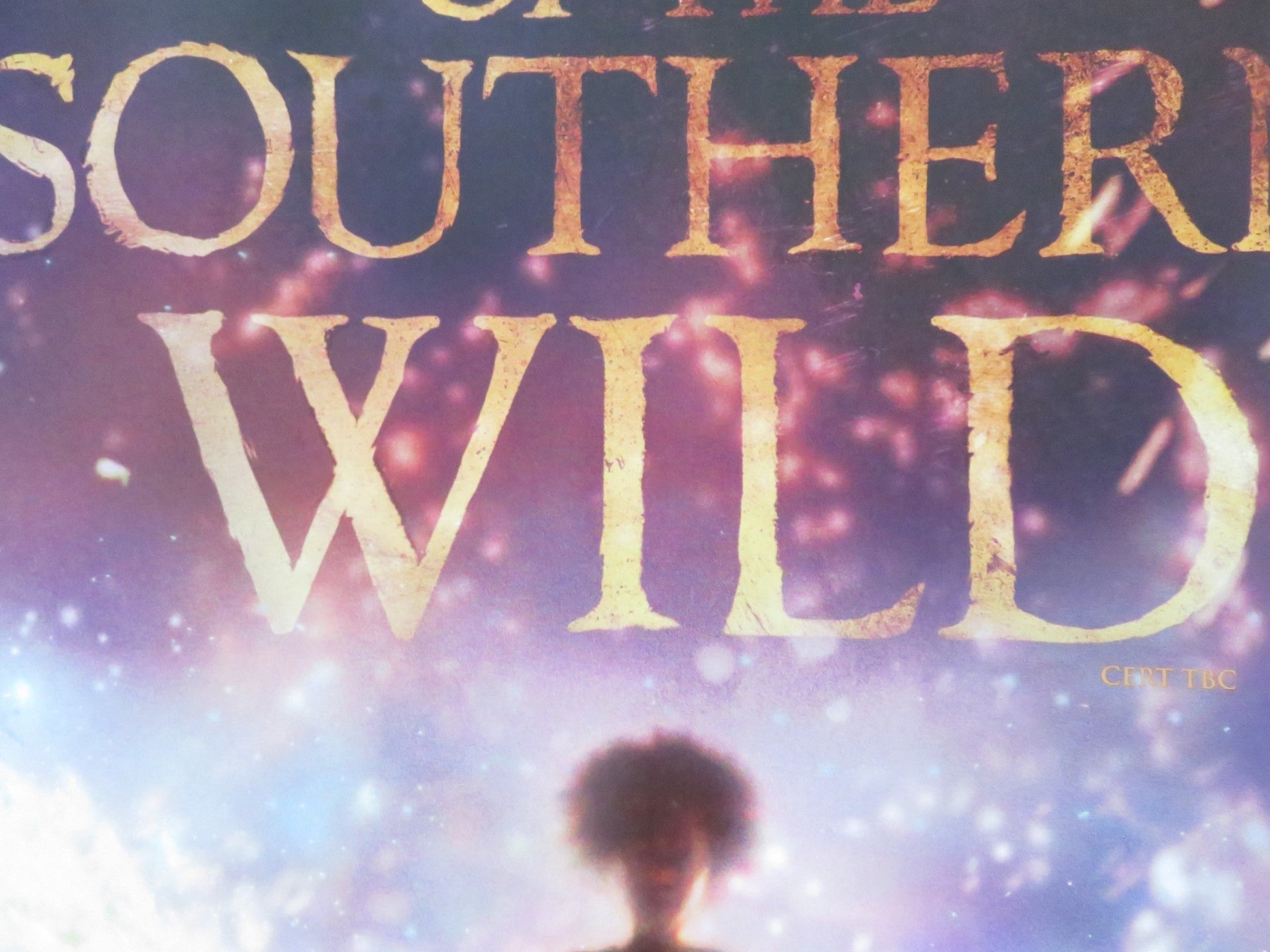 BEASTS OF THE SOUTHERN WILD UK QUAD ROLLED POSTER DWIGHT HENRY 2012 Rendezvous Cinema Movie posters