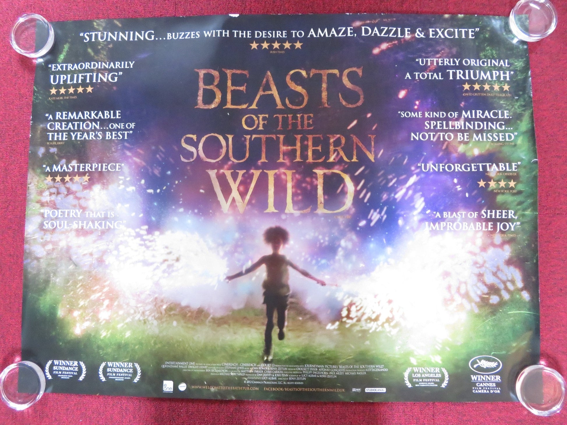 BEASTS OF THE SOUTHERN WILD UK QUAD ROLLED POSTER DWIGHT HENRY 2012 Rendezvous Cinema Movie posters