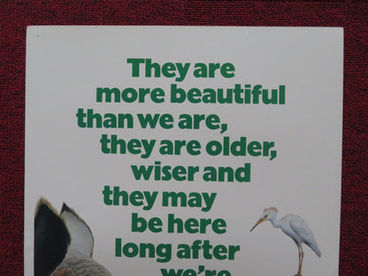 BEAUTIFUL PEOPLE US INSERT (14"x 36") POSTER JAMIE UYS PADDY O'BYRNE 1975 Rendezvous Cinema Movie posters