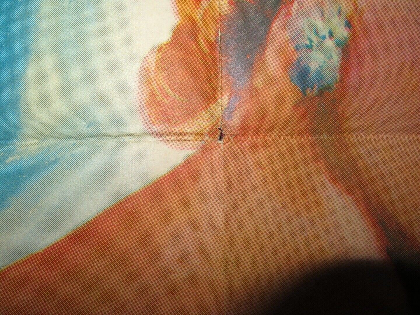 BEDEVILLED FOLDED US ONE SHEET POSTER ANNE BAXTER STEVE FORREST 1955 Movie posters