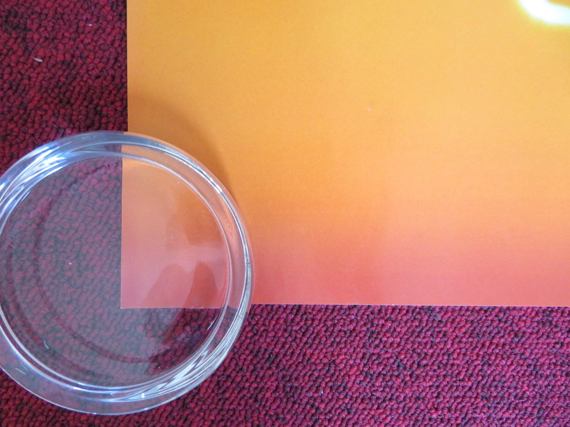 BEE MOVIE UK QUAD (30"x 40") ROLLED POSTER JERRY SEINFELD RENEE ZELLWEGER 2007 Rendezvous Cinema Movie posters