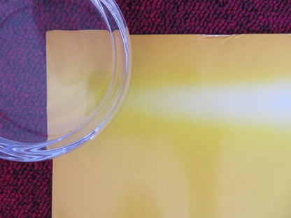 BEE MOVIE UK QUAD (30"x 40") ROLLED POSTER JERRY SEINFELD RENEE ZELLWEGER 2007 Rendezvous Cinema Movie posters