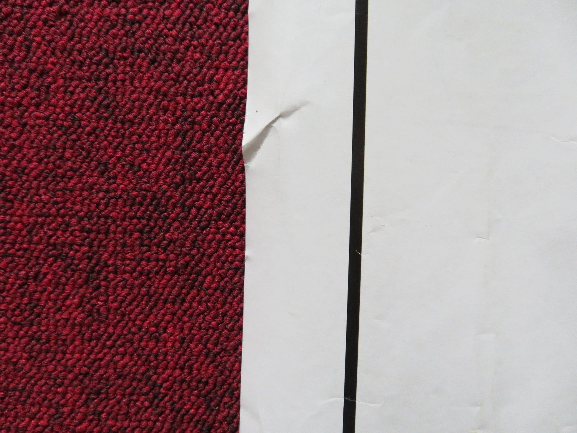 BEE MOVIE UK QUAD ROLLED POSTER JERRY SEINFELD RENEE ZELLWEGER 2007 Rendezvous Cinema Movie posters