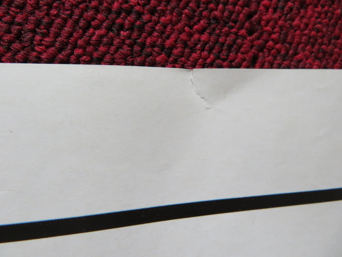 BEE MOVIE UK QUAD ROLLED POSTER JERRY SEINFELD RENEE ZELLWEGER 2007 Rendezvous Cinema Movie posters