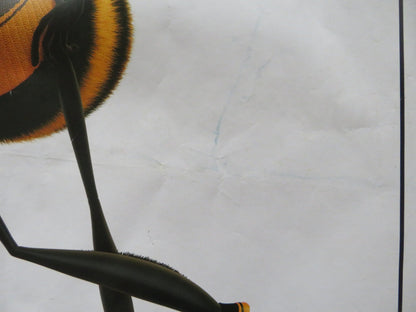 BEE MOVIE UK QUAD ROLLED POSTER JERRY SEINFELD RENEE ZELLWEGER 2007 Rendezvous Cinema Movie posters