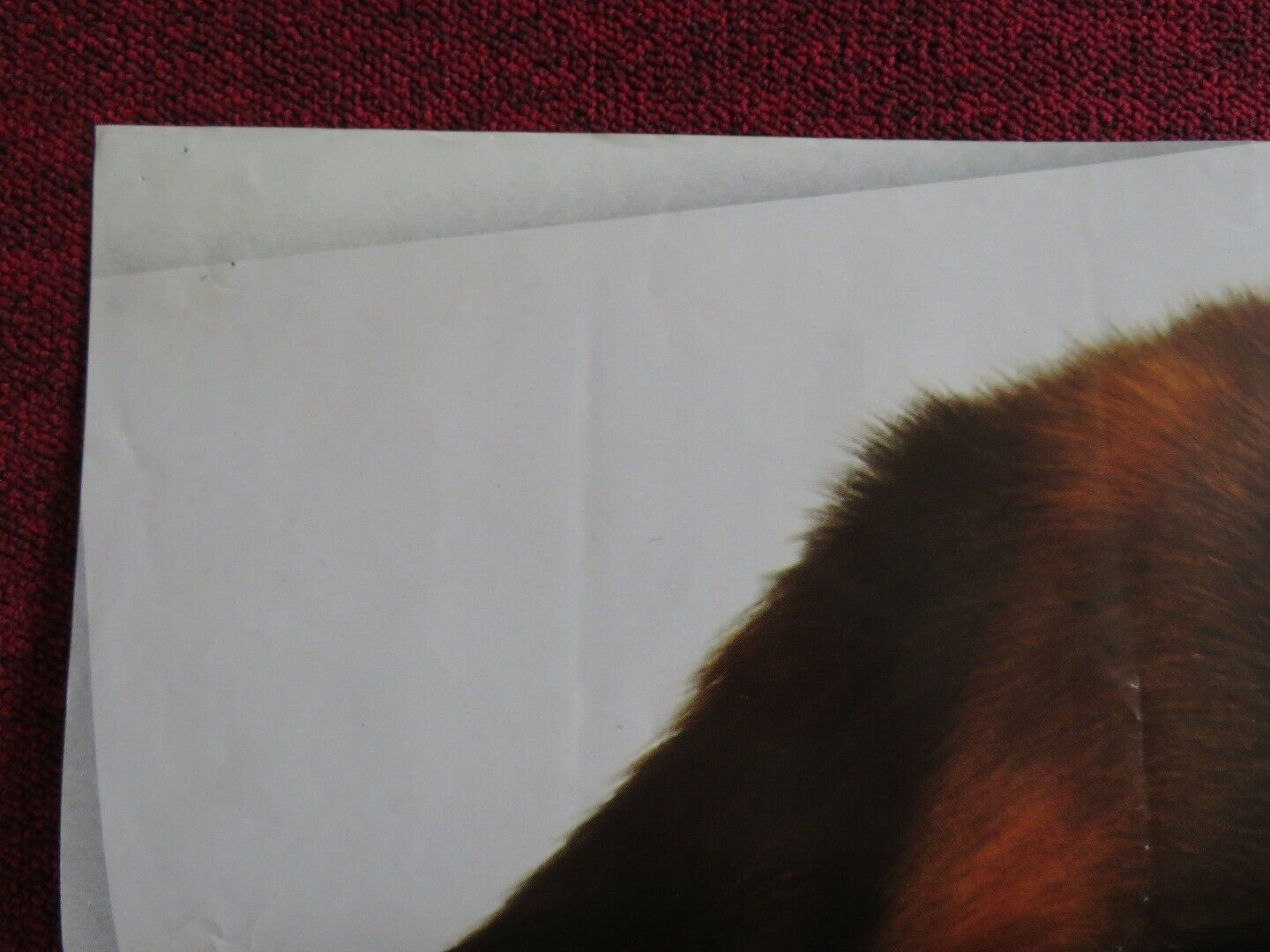 BEETHOVEN UK QUAD POSTER CHARLES GRODIN BONNIE HUNT 1992 Movie posters