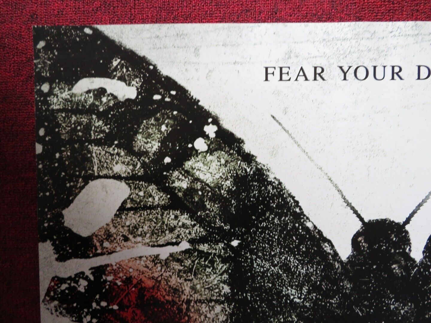 BEFORE I WAKE US ONE SHEET ROLLED POSTER KATE BOSWORTH THOMAS JANE 2016 Movie posters