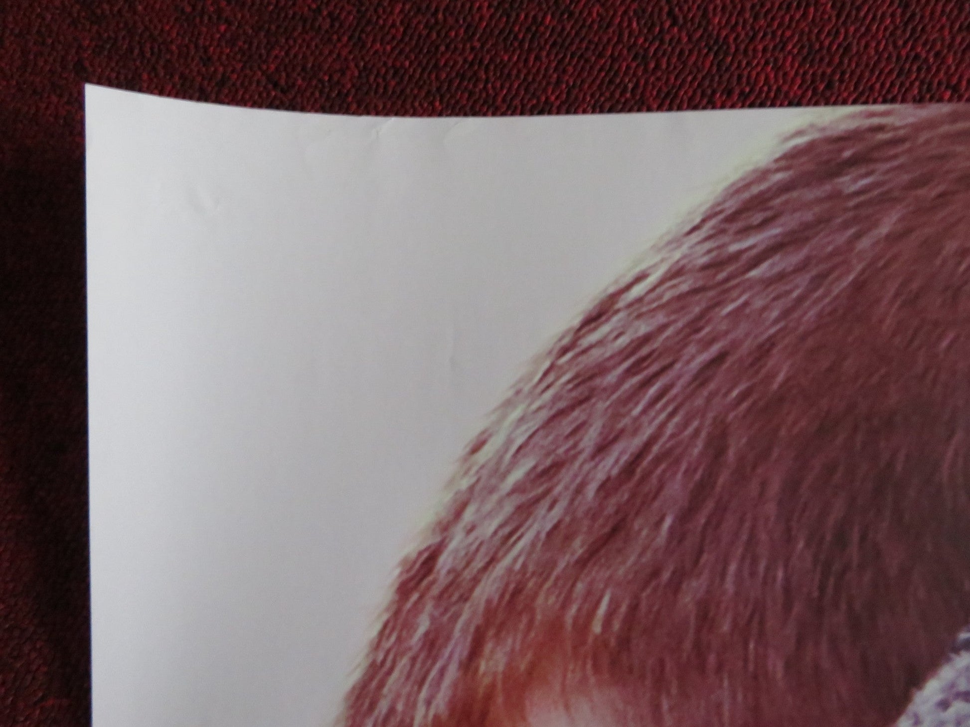 BEN IS BACK UK QUAD (30"x 40") ROLLED POSTER JULIA ROBERTS LUCAS HEDGES 2018 Rendezvous Cinema Movie posters