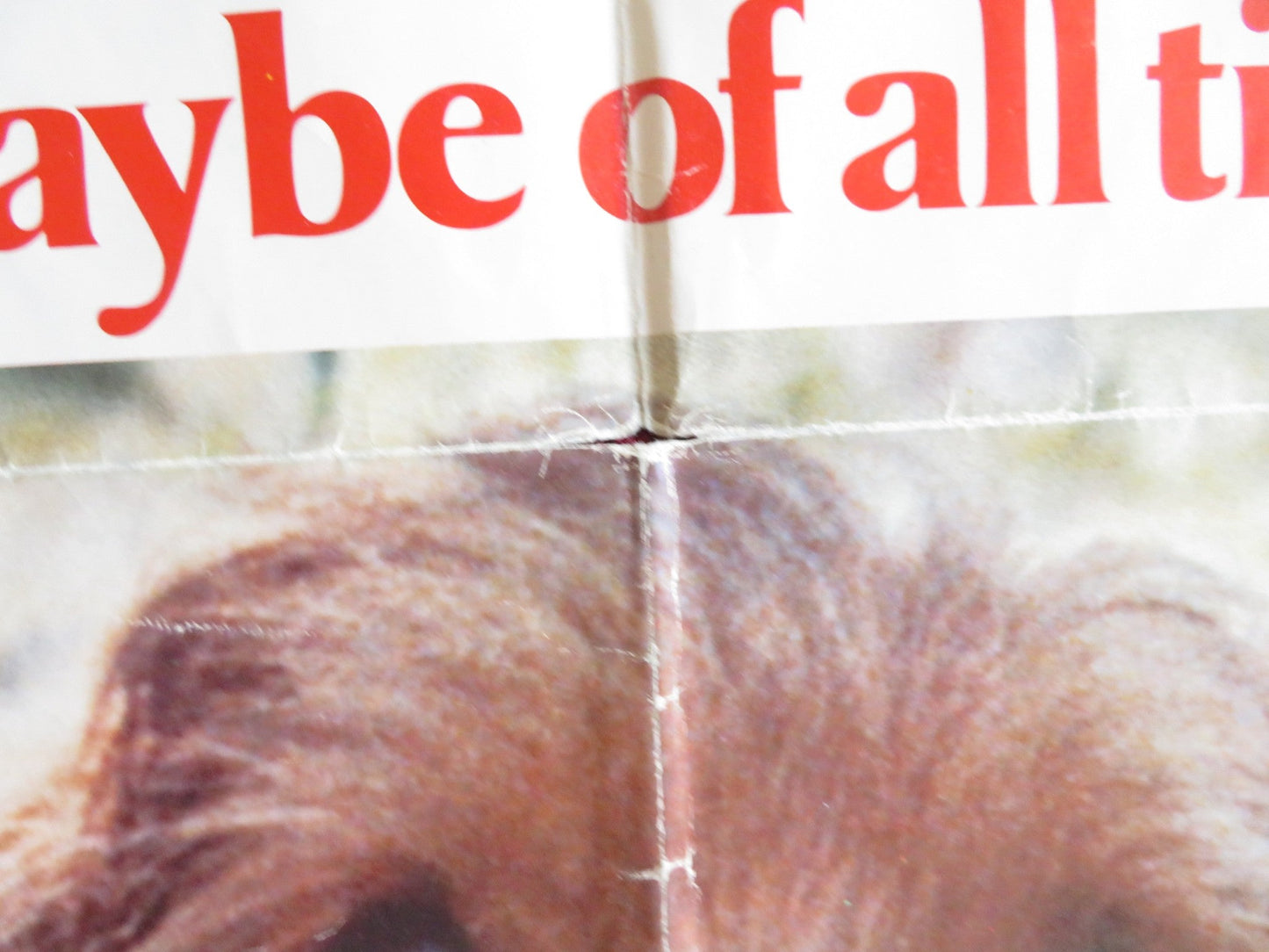 BENJI FOLDED US ONE SHEET POSTER PETER BRECK CHRISTOPHER CONNELLY 1975 Rendezvous Cinema Movie posters