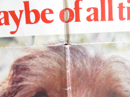 BENJI FOLDED US ONE SHEET POSTER PETER BRECK CHRISTOPHER CONNELLY 1975 Rendezvous Cinema Movie posters