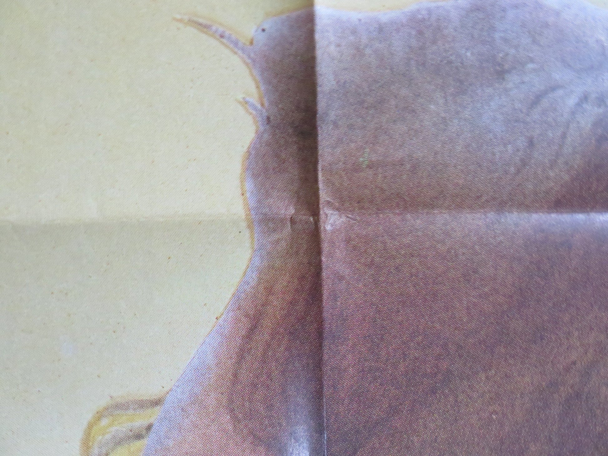 BENVENUTA ITALIAN 2 FOGLIO POSTER FANNY ARDANT VITTORIO GASSMAN 1983 Rendezvous Cinema Movie posters