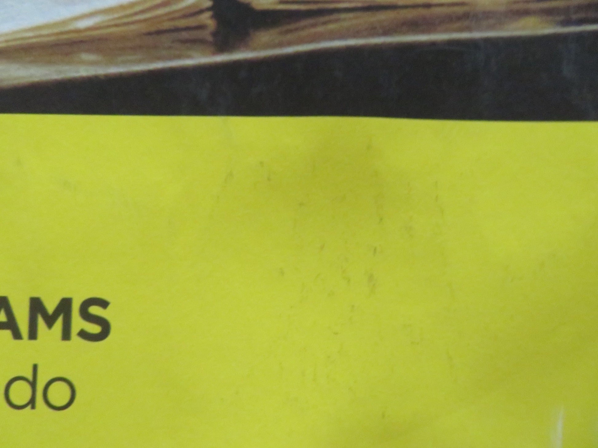 BERLINER HARMONIKER: SYMPHONICAL WORLDS UK QUAD (30"x 40") ROLLED POSTER 2013 Rendezvous Cinema Movie posters