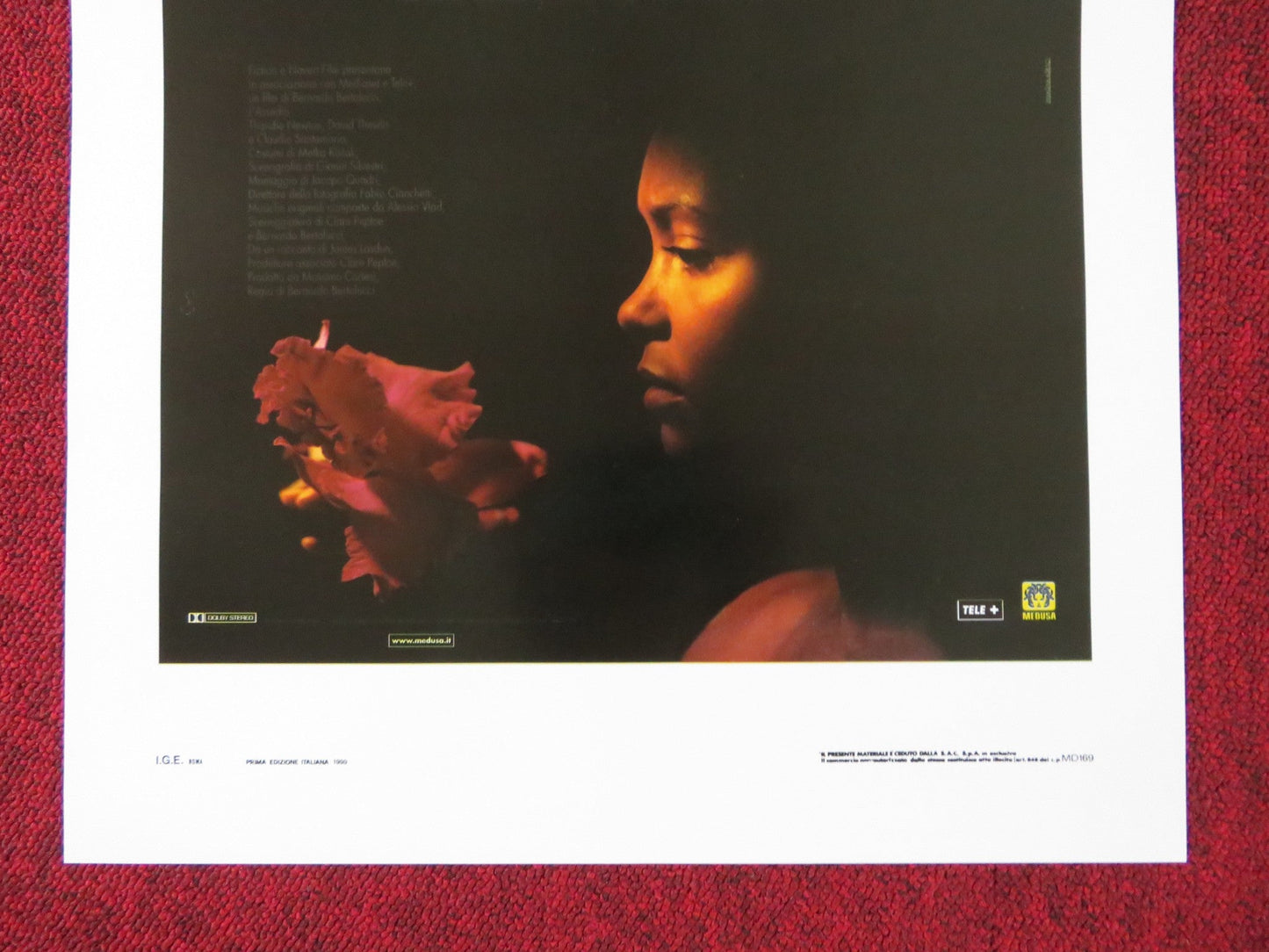 BESIEGED ITALIAN LOCANDINA POSTER THANDIWE NEWTON DAVID THEWLIS 1999 Rendezvous Cinema Movie posters