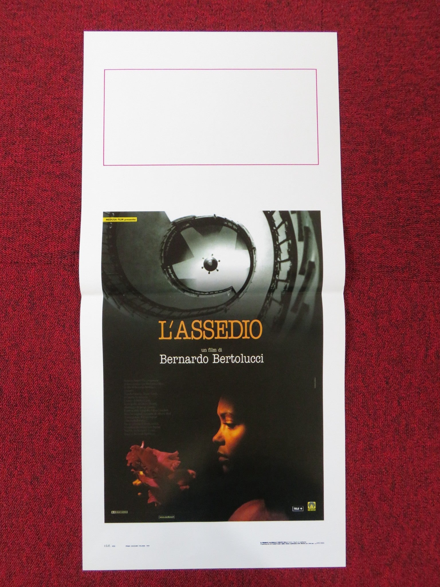BESIEGED ITALIAN LOCANDINA POSTER THANDIWE NEWTON DAVID THEWLIS 1999 Rendezvous Cinema Movie posters