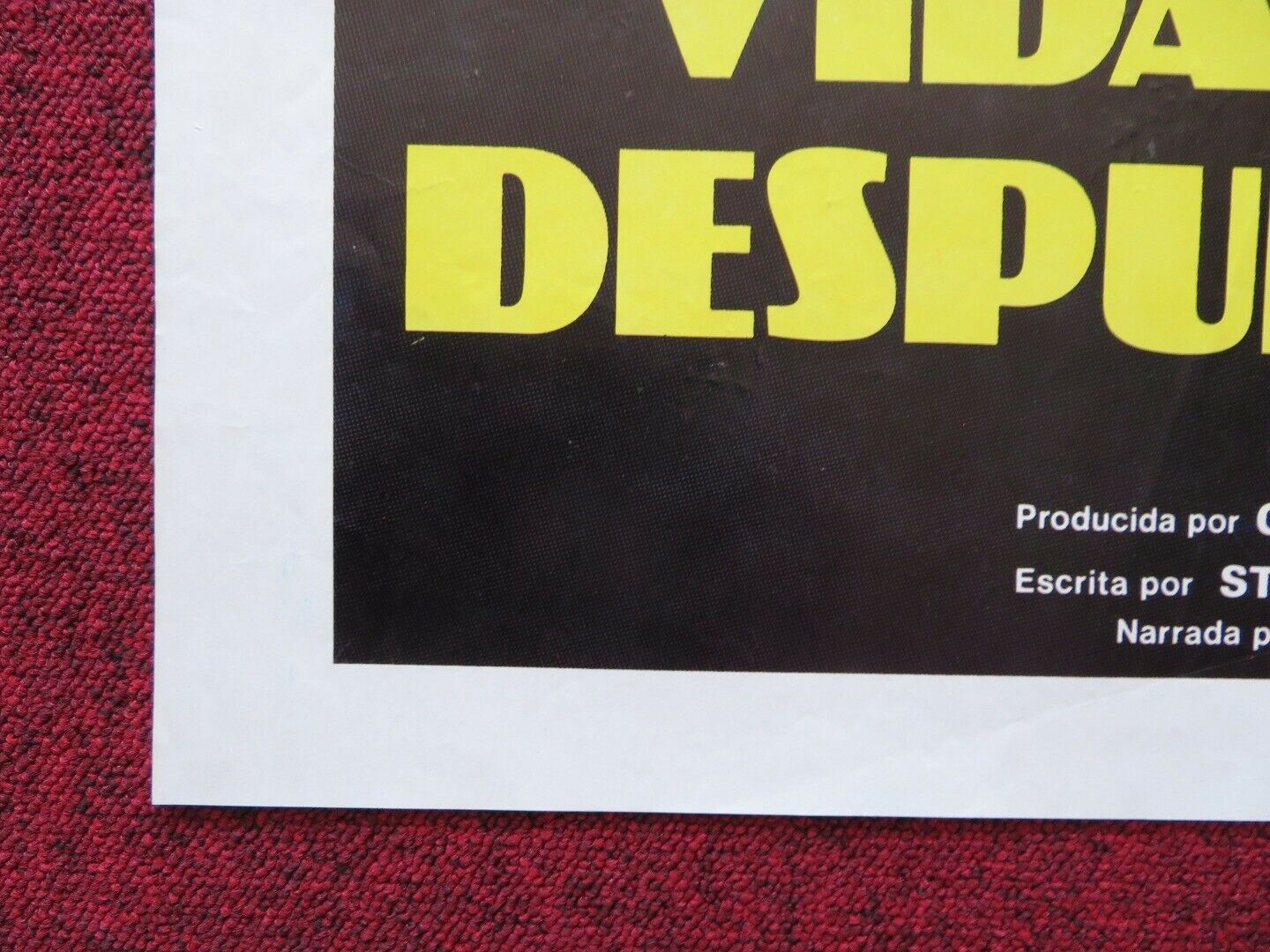 BEYOND AND BACK MEXICO ONE SHEET FOLDED POSTER BRAD CRANDAL VERN ADIX 1978 - Rendezvous Cinema