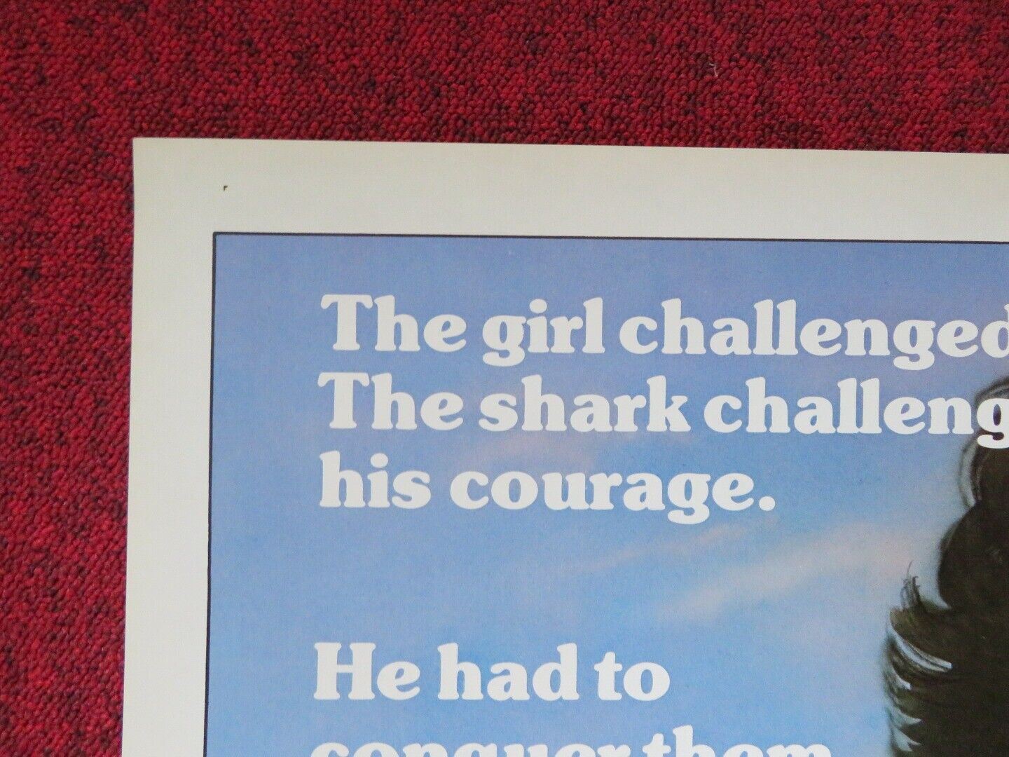 BEYOND THE REEF FOLDED US ONE SHEET POSTER DAYTON KA'NE MAREN JENSEN 1981 Movie posters