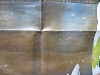 BEYOND THE REEF FOLDED US ONE SHEET POSTER DAYTON KA'NE MAREN JENSEN 1981 Movie posters