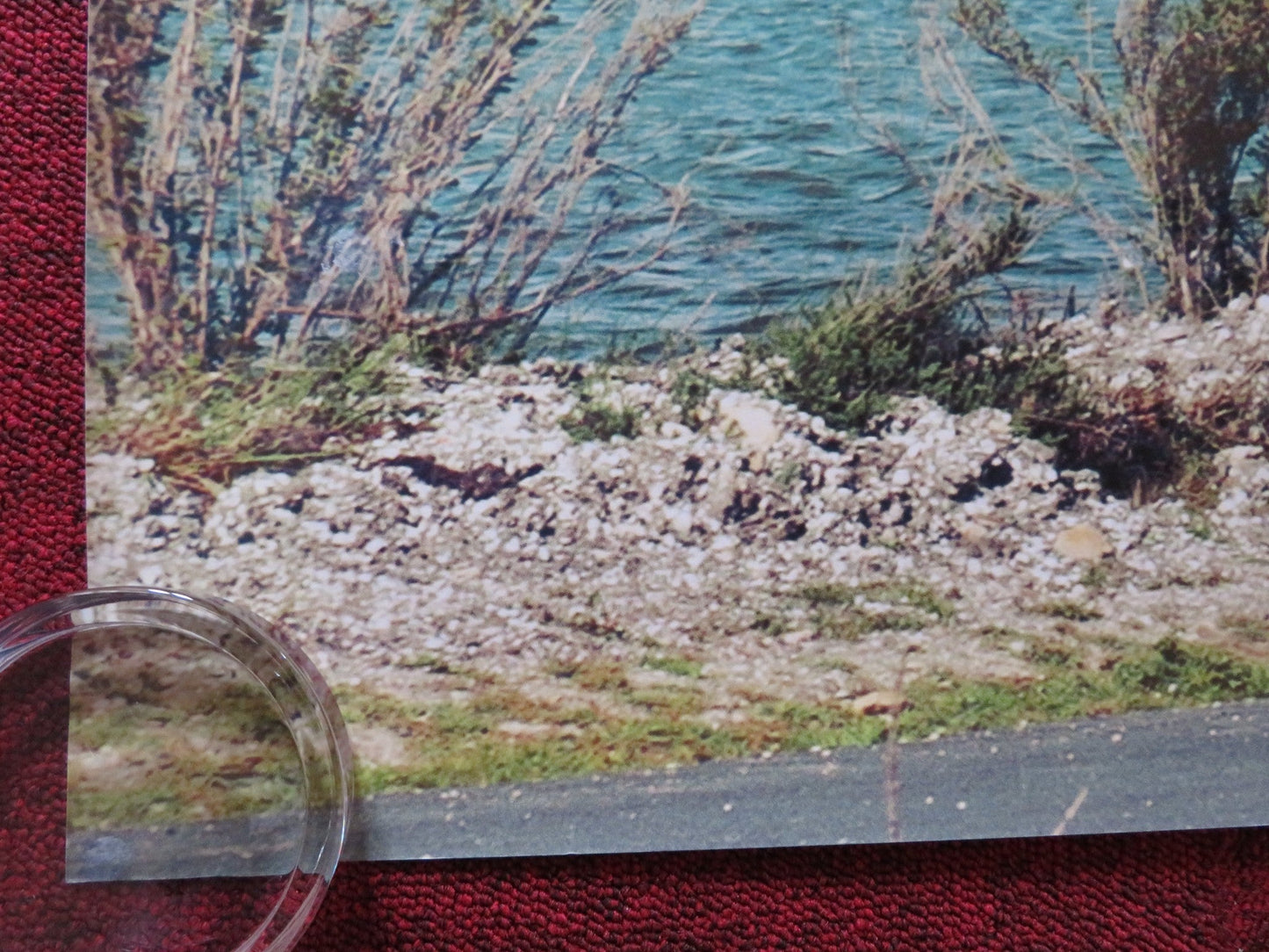 BICYCLING WITH MOLIERE UK QUAD (30"x 40") ROLLED POSTER FABRICE LUCHINI 2013 Rendezvous Cinema Movie posters