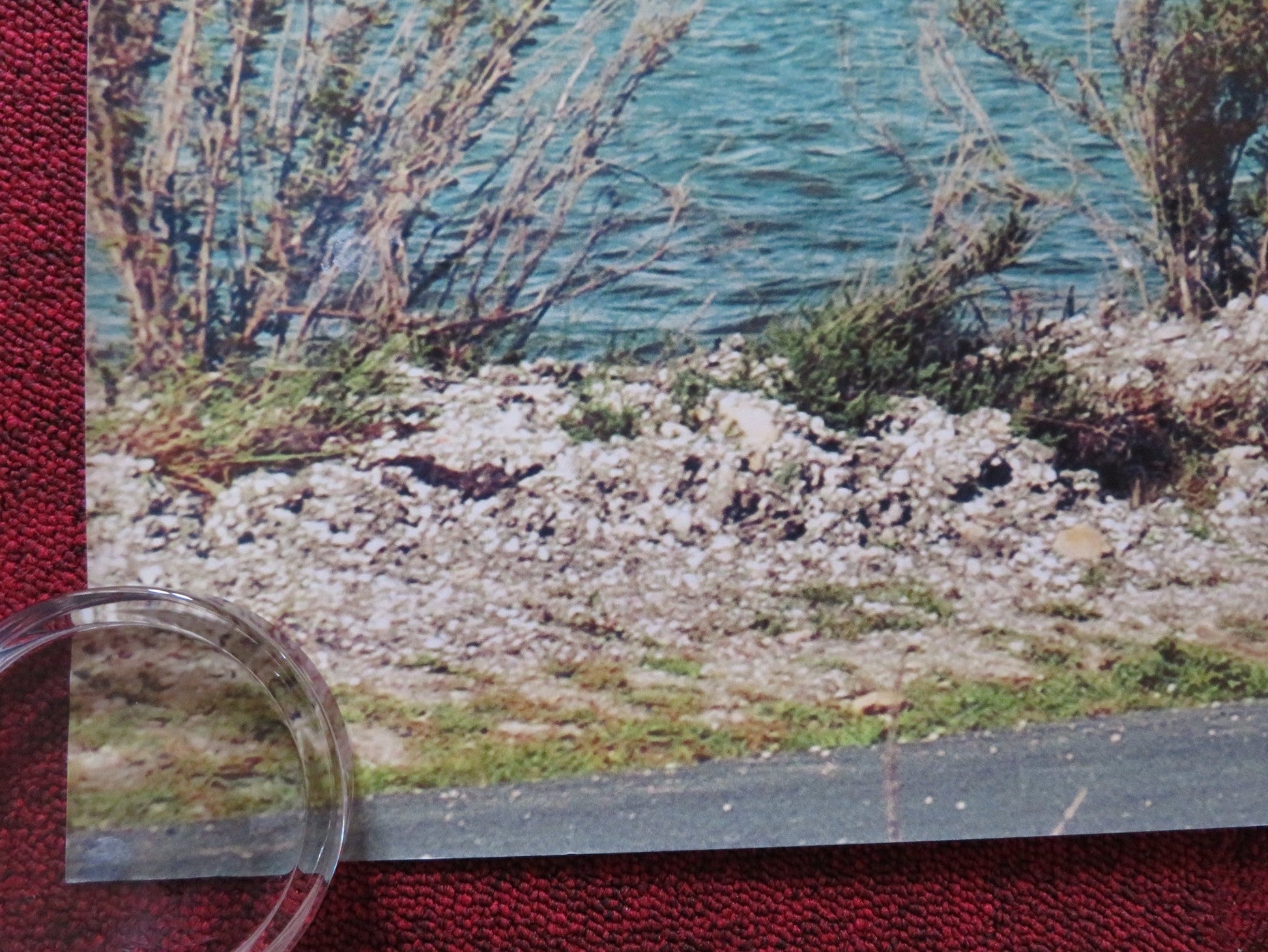 BICYCLING WITH MOLIERE UK QUAD (30"x 40") ROLLED POSTER FABRICE LUCHINI 2013 Rendezvous Cinema Movie posters