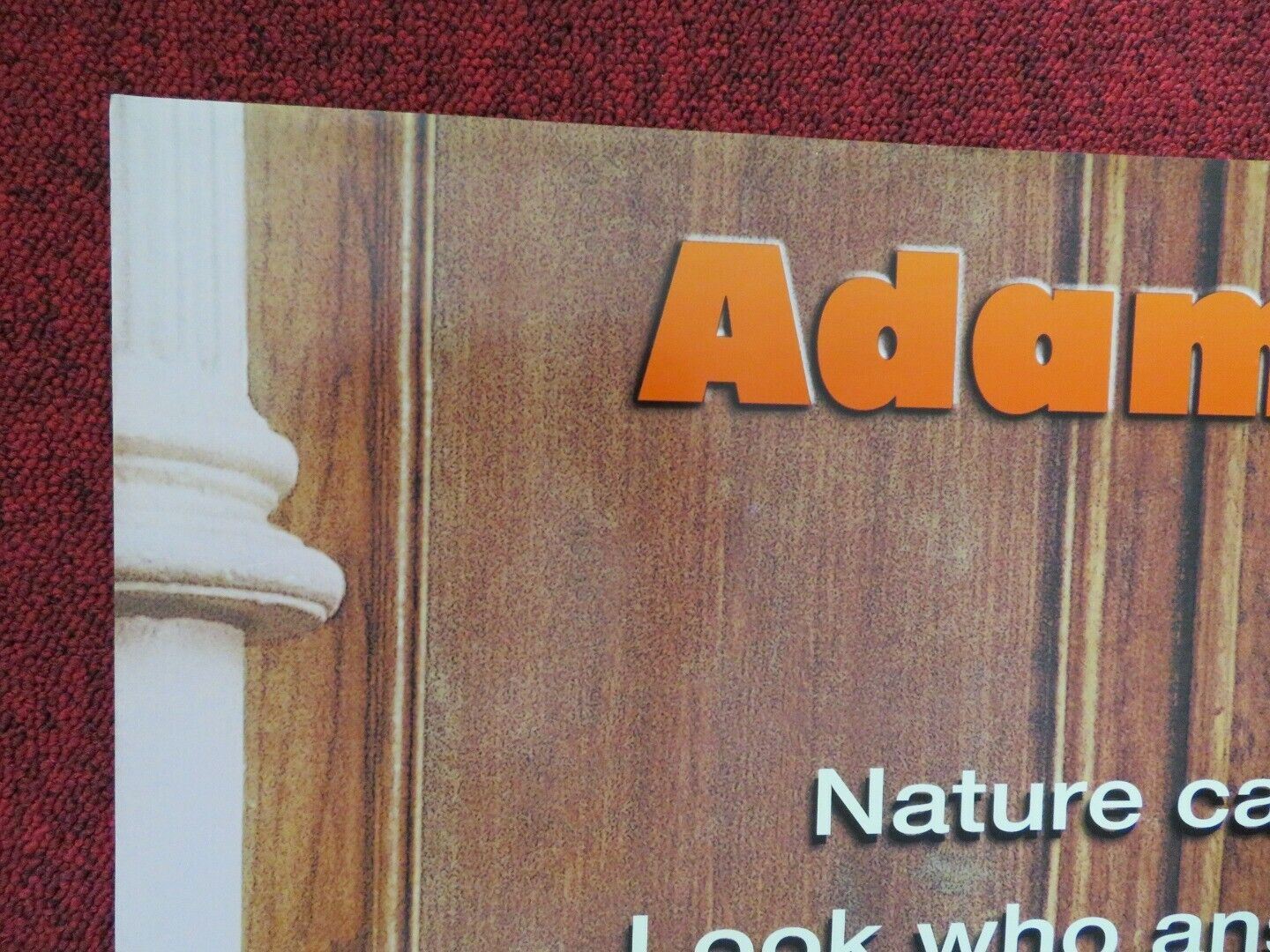 BIG DADDY FOLDED US ONE SHEET POSTER ADAM SANDLER JOEY LAUREN 1999 Movie posters