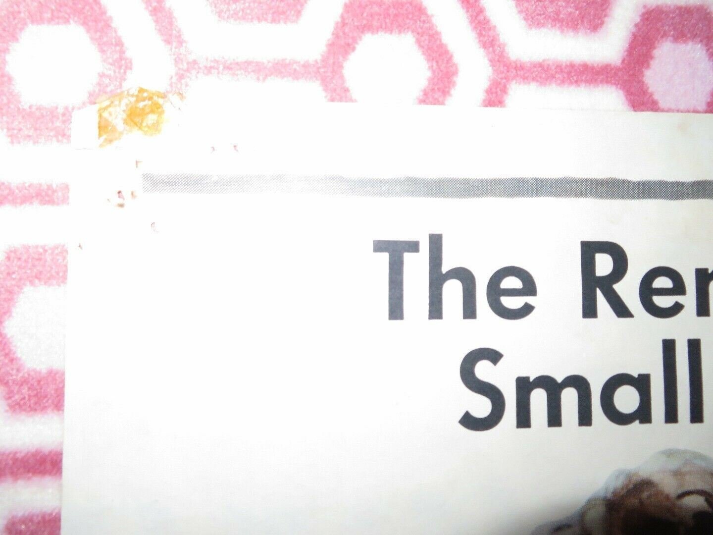 BIG JEETER / LAUTA MANCIA US ONE SHEET POSTER SYLVAN ORLANDO 1959 Rendezvous Cinema Movie posters