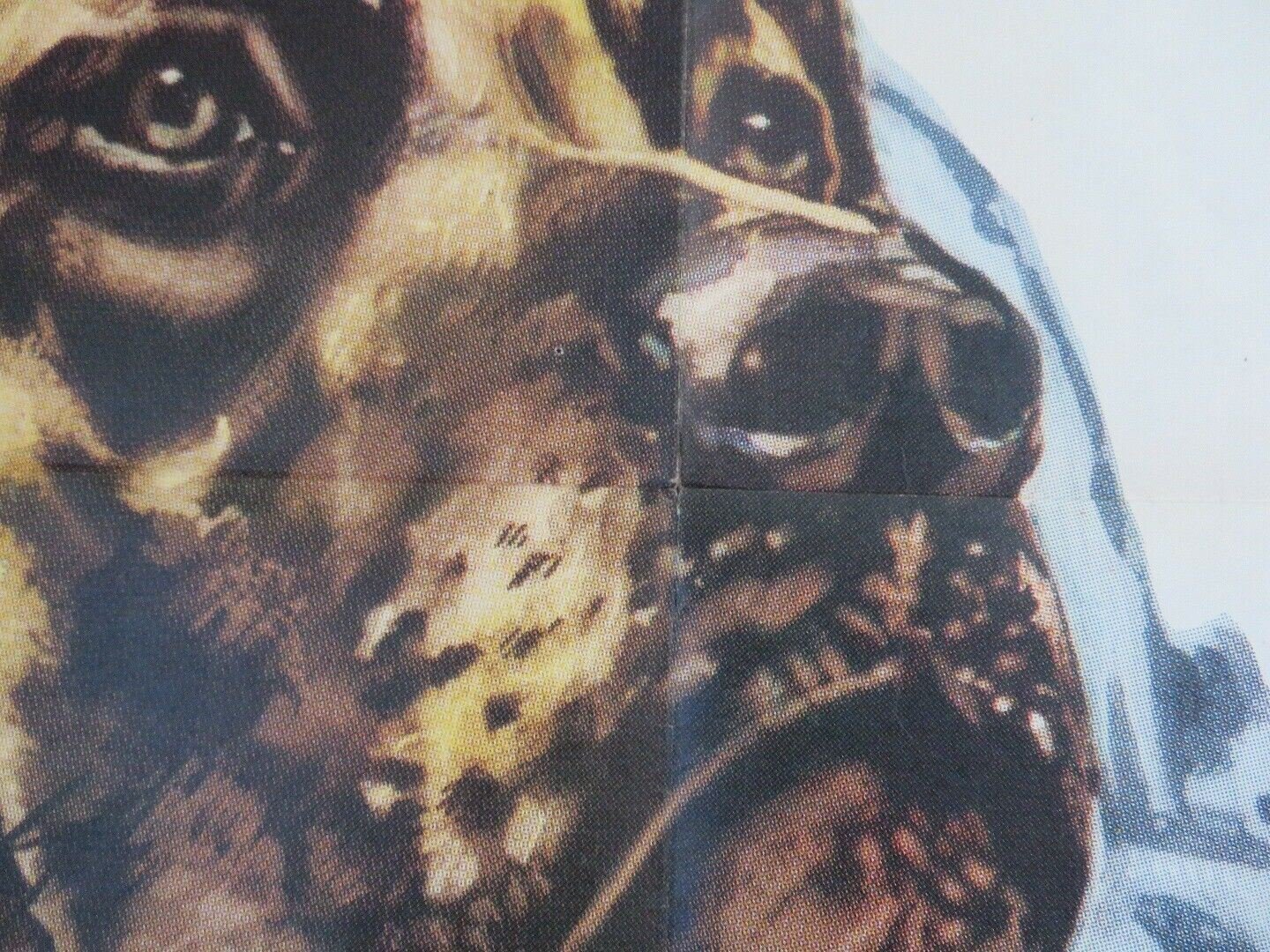 BIG JEETER / LAUTA MANCIA US ONE SHEET POSTER SYLVAN ORLANDO 1959 Rendezvous Cinema Movie posters