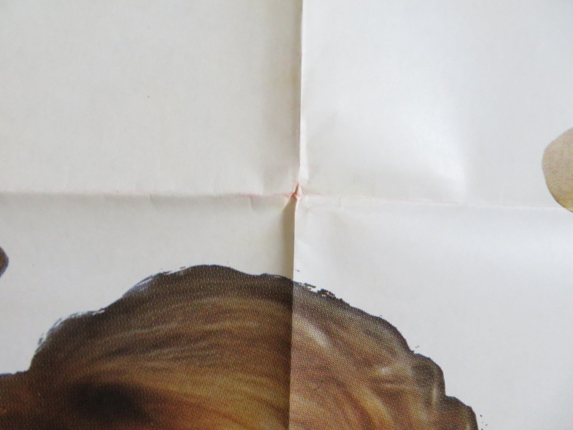 BIG TROUBLE ITALIAN 2 FOGLIO POSTER PETER FALK ALAN ARKIN 1986 Rendezvous Cinema Movie posters