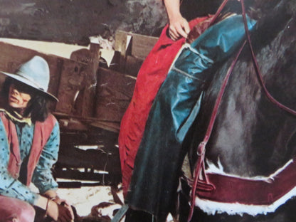 BILLY TWO HATS - B ITALIAN FOTOBUSTA POSTER GREGORY PECK DESI ARNAZ JR 1974 Rendezvous Cinema Movie posters