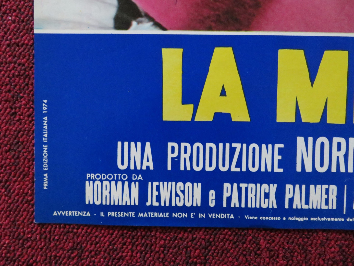 BILLY TWO HATS - C ITALIAN FOTOBUSTA POSTER GREGORY PECK DESI ARNAZ JR 1974 Rendezvous Cinema Movie posters