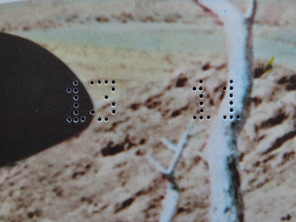 BILLY TWO HATS - E ITALIAN FOTOBUSTA POSTER GREGORY PECK DESI ARNAZ JR 1974 Rendezvous Cinema Movie posters