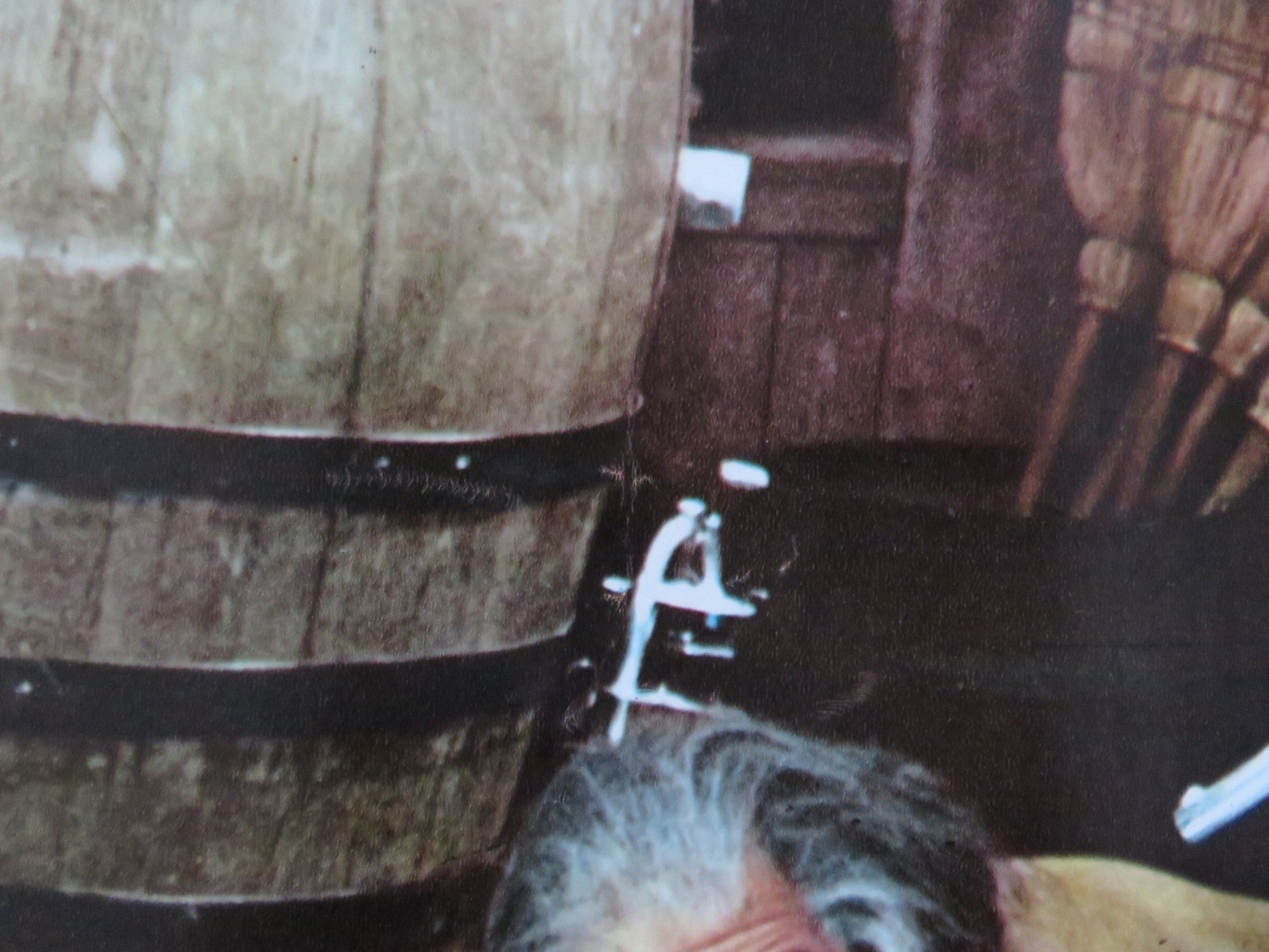 BILLY TWO HATS - G ITALIAN FOTOBUSTA POSTER GREGORY PECK DESI ARNAZ JR 1974 Rendezvous Cinema Movie posters