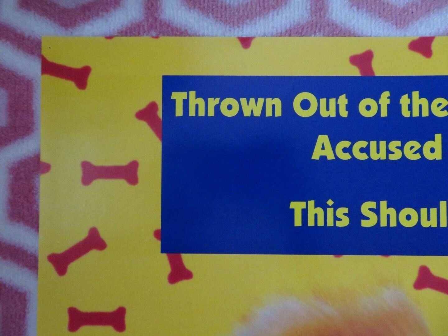 BINGO US ONE SHEET POSTER CINDY WILLIAMS DAVID RASCHE 1991 Movie posters