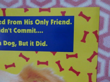 BINGO US ONE SHEET POSTER CINDY WILLIAMS DAVID RASCHE 1991 Movie posters