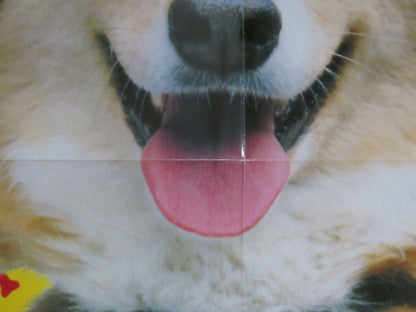 BINGO US ONE SHEET POSTER CINDY WILLIAMS DAVID RASCHE 1991 Movie posters