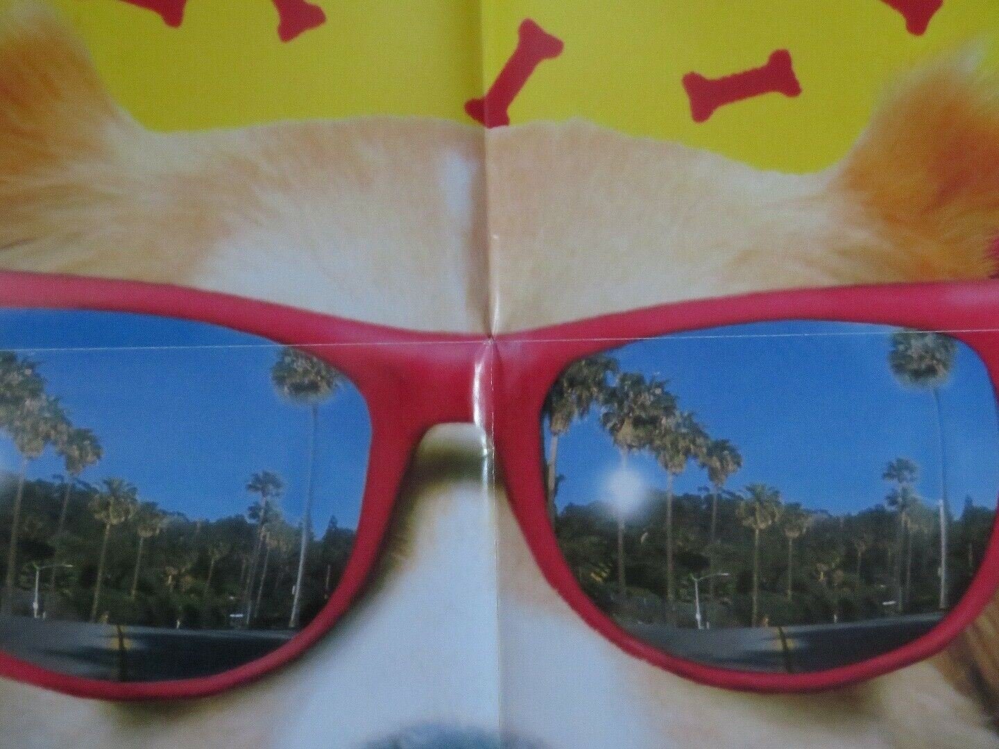 BINGO US ONE SHEET POSTER CINDY WILLIAMS DAVID RASCHE 1991 Movie posters