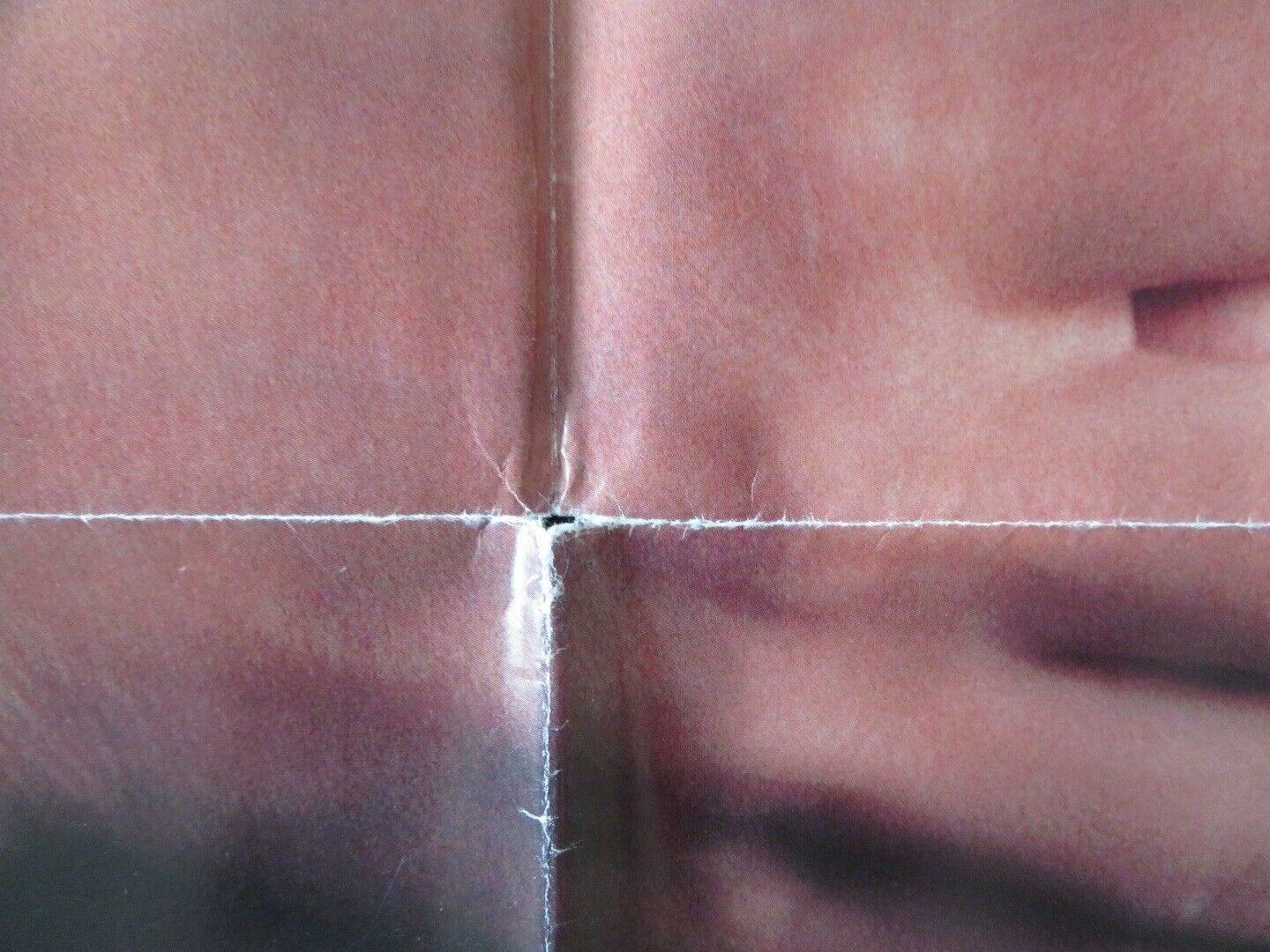 BIRD ON A WIRE FOLDED US ONE SHEET POSTER GIBSON HAWN 1990 Movie posters