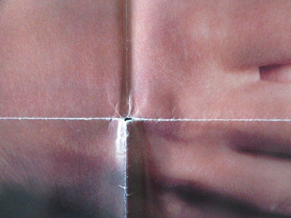 BIRD ON A WIRE FOLDED US ONE SHEET POSTER GIBSON HAWN 1990 Movie posters