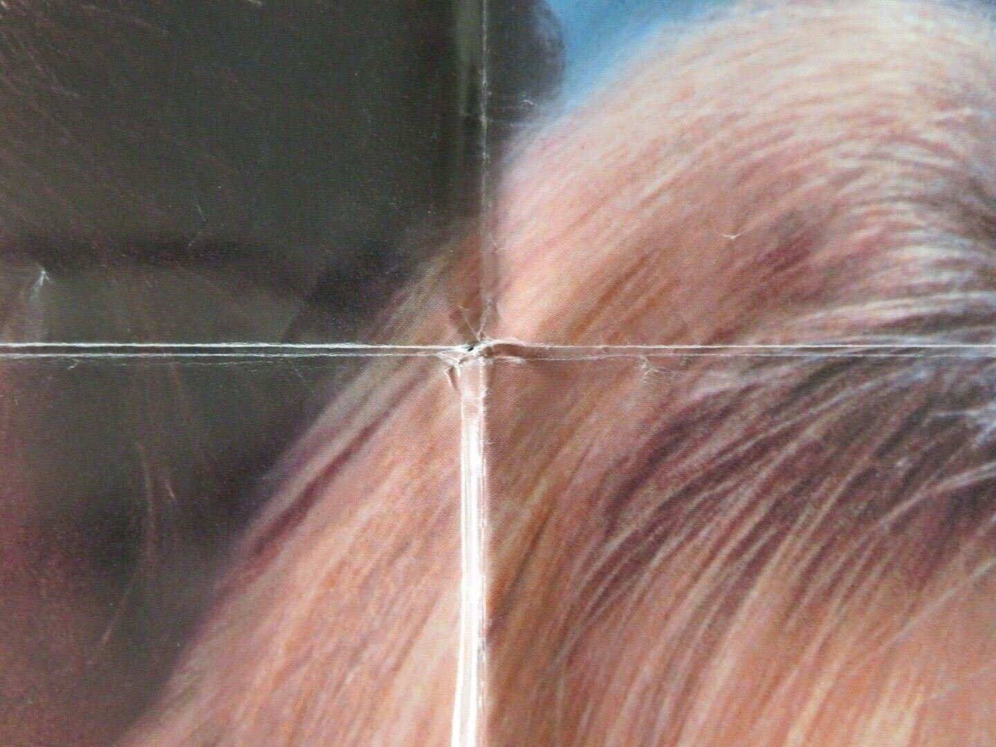 BIRD ON A WIRE FOLDED US ONE SHEET POSTER GIBSON HAWN 1990 Movie posters