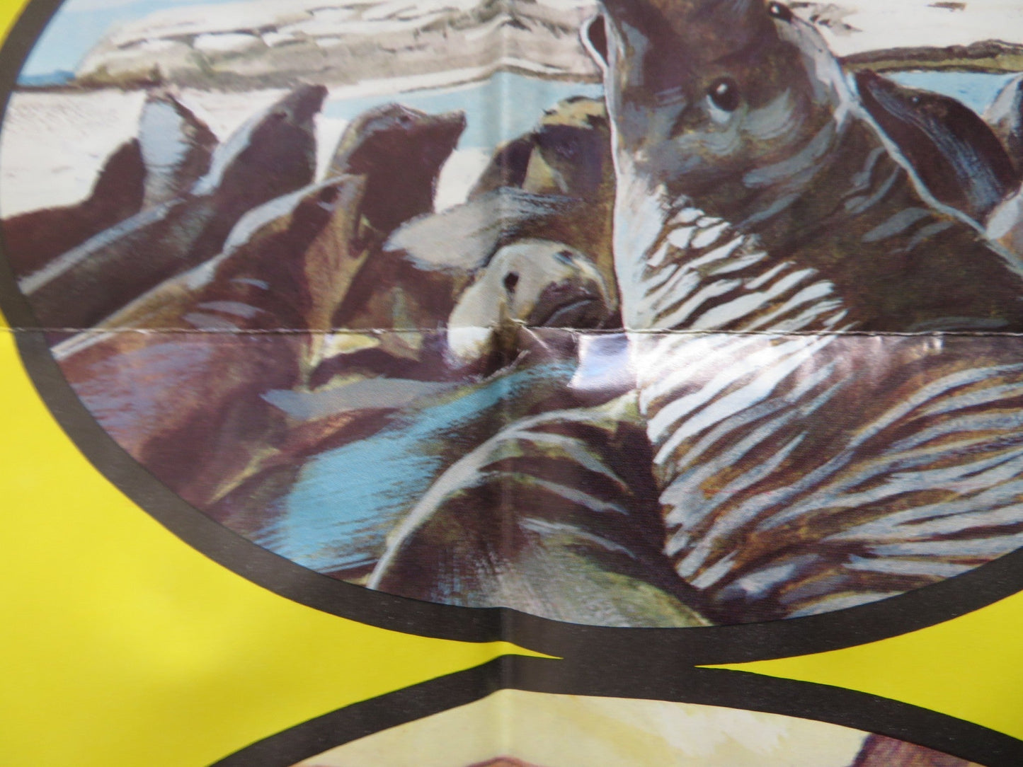 BIRDS DO IT, BEES DO IT - STYLE B FOLDED US ONE SHEET POSTER LEE BERGERE 1975 Rendezvous Cinema Movie posters