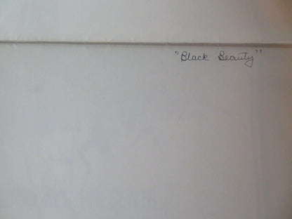 BLACK BEAUTY US ONE SHEET POSTER MARK LESTER WALTER SLEZAK 1971 Movie posters