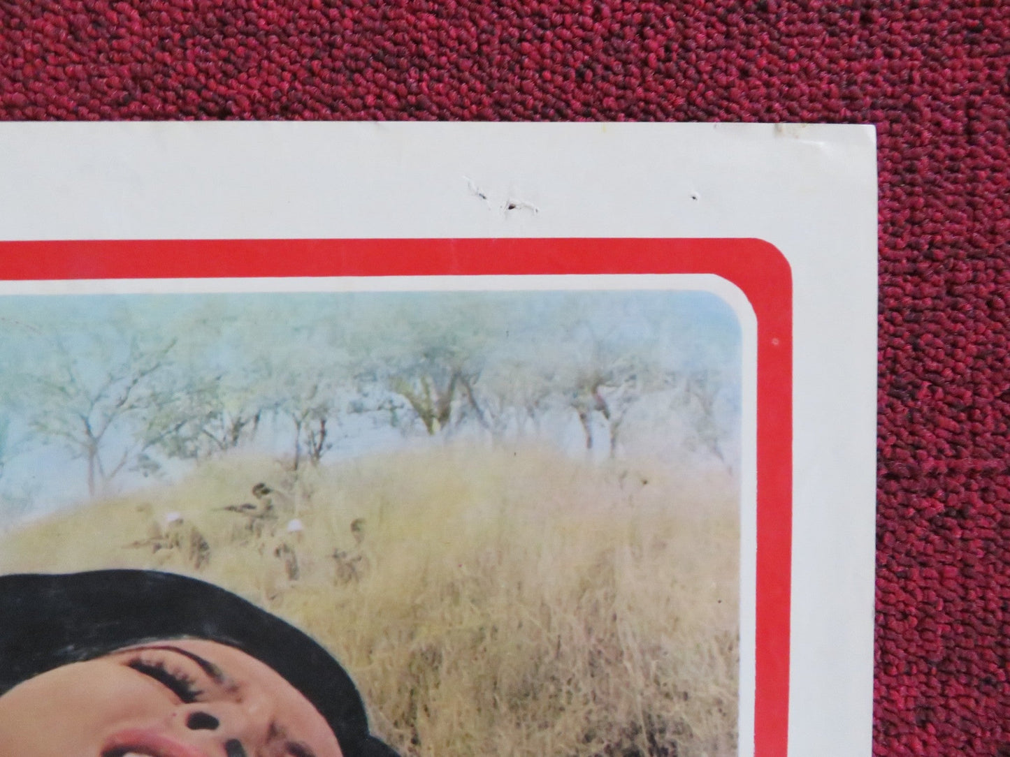 BLACK MAMA WHITE MAMA - C ITALIAN FOTOBUSTA POSTER PAM GRIER M. MARKOV 1974 Rendezvous Cinema Movie posters