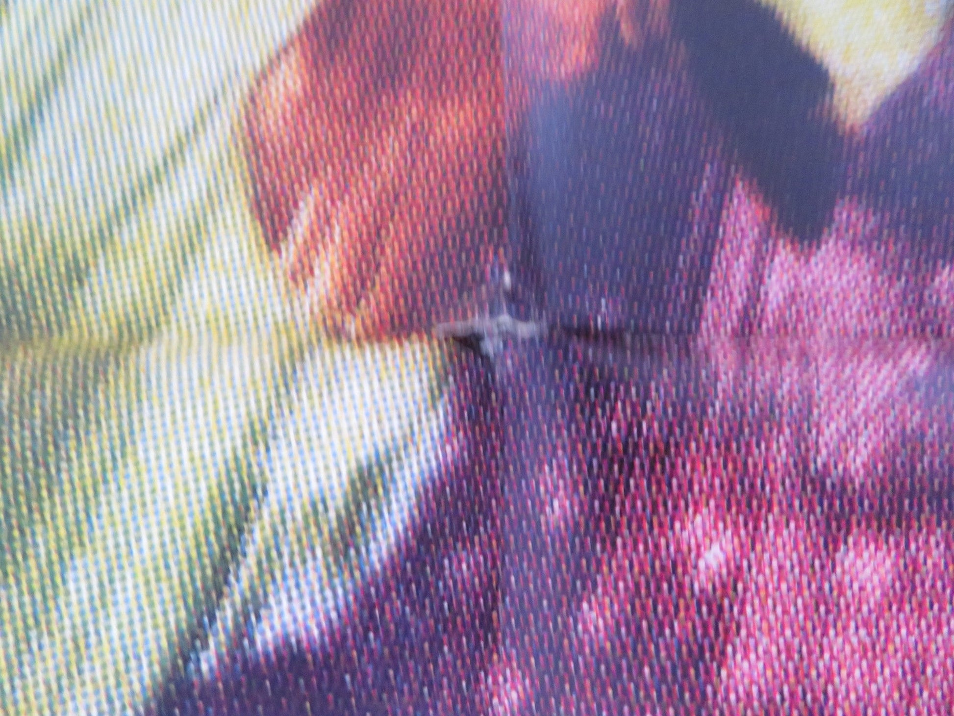 BLACK SPURS FOLDED US ONE SHEET POSTER RORY COLHOUN LINDA DARNELL 1965 Rendezvous Cinema Movie posters