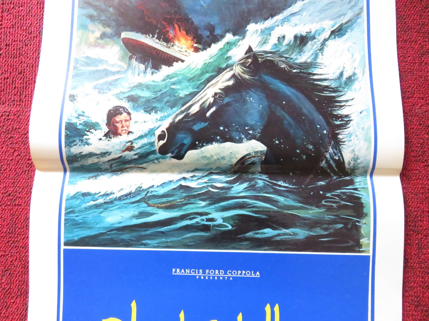 BLACK STALLION ITALIAN LOCANDINA POSTER KELLY RENO MICKEY ROONEY 1979 Rendezvous Cinema Movie posters