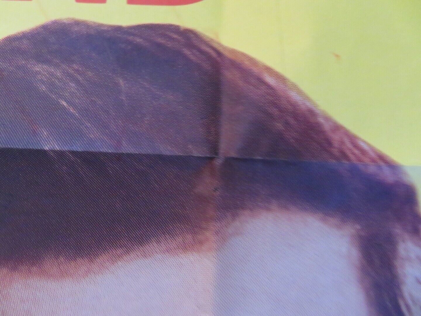 BLACK TIDE FOLDED US ONE SHEET POSTER JOHN IRELAND 1958 Movie posters