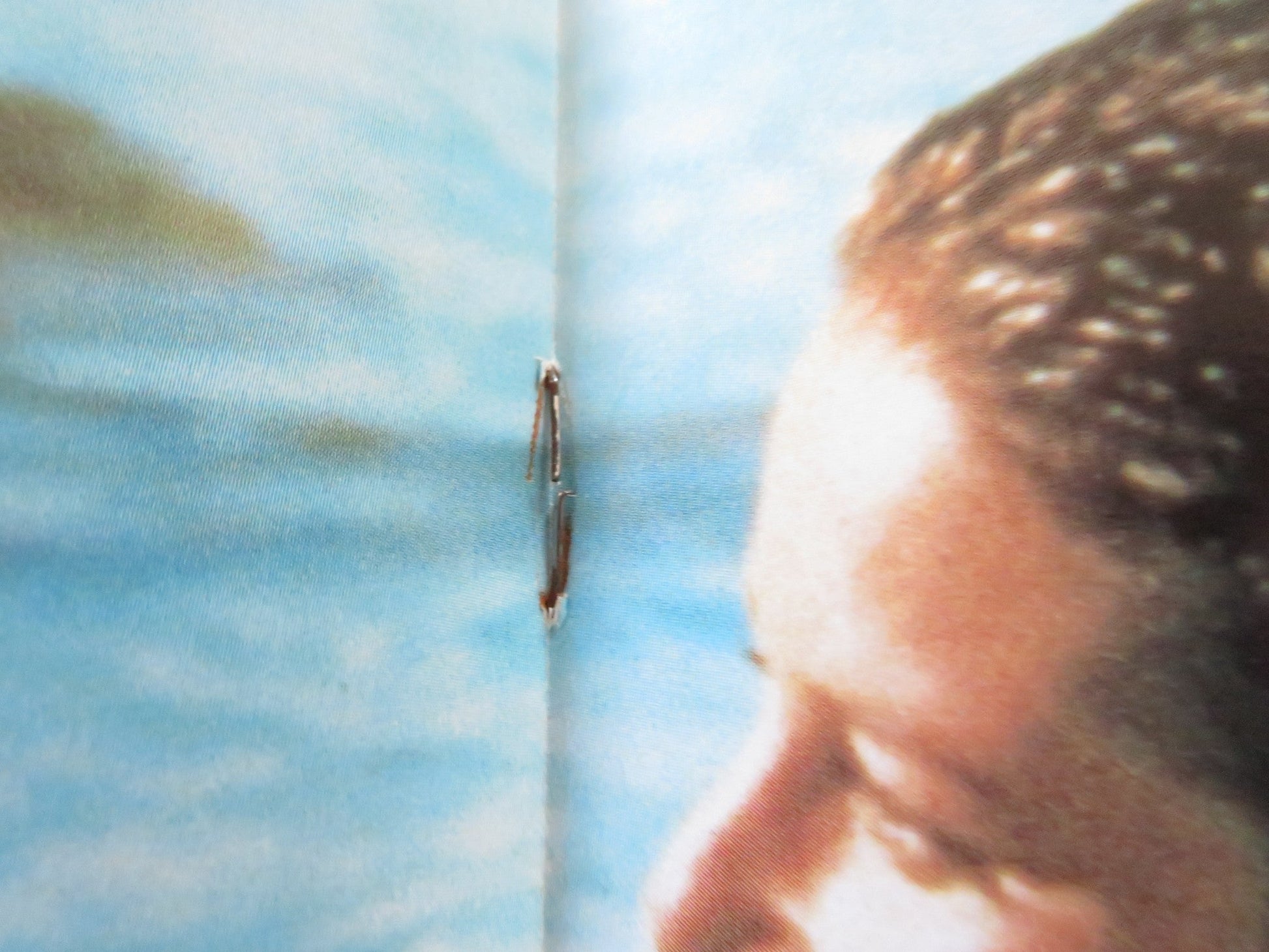 BLACK WIDOW JAPANESE BROCHURE / PRESS BOOK DEBRA WINGER THERESA RUSSELL 1987 Rendezvous Cinema Movie posters