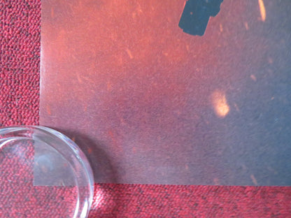 BLACKLIGHT US ONE SHEET ROLLED POSTER LIAM NEESON AIDAN QUINN 2022 Rendezvous Cinema Movie posters