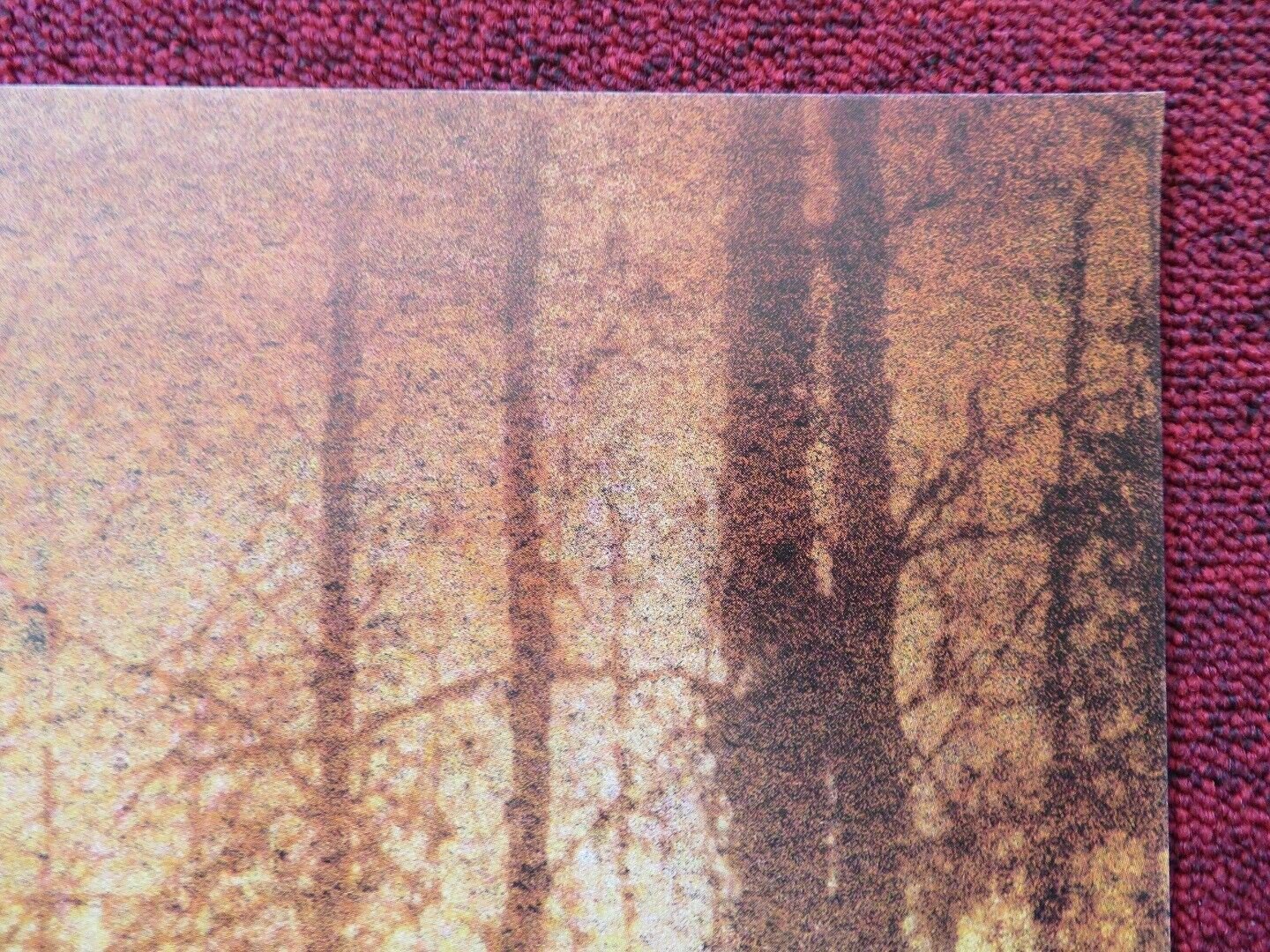 BLAIR WITCH 2 FRENCH (16"x 21") POSTER KURT LODER 2000 Movie posters